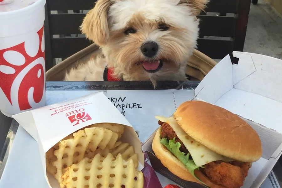 Chick-fil-A Dog menu